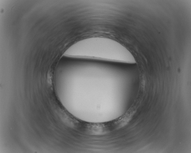 X0000081300282200701110942