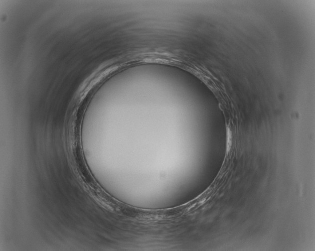 X0000081300291200701110941
