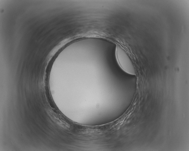 X0000081300292200701110941