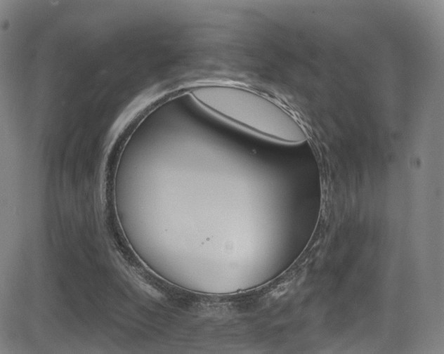 X0000081300296200701110941
