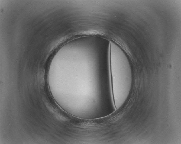 X0000081300300200701110941