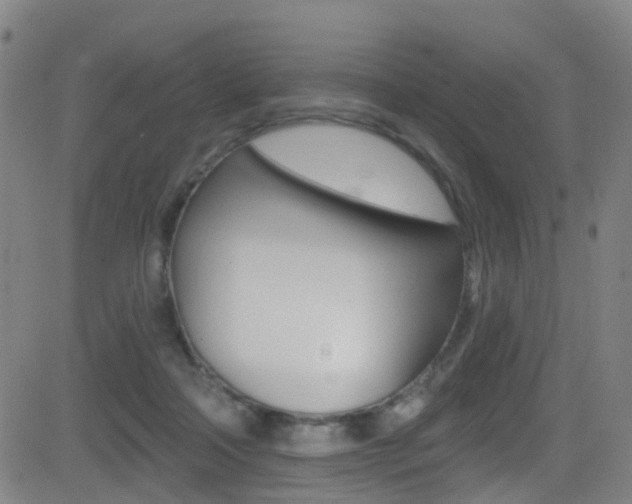 X0000081300314200701110940