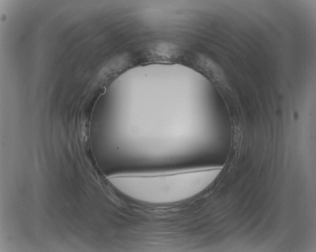 X0000081300331200701110940
