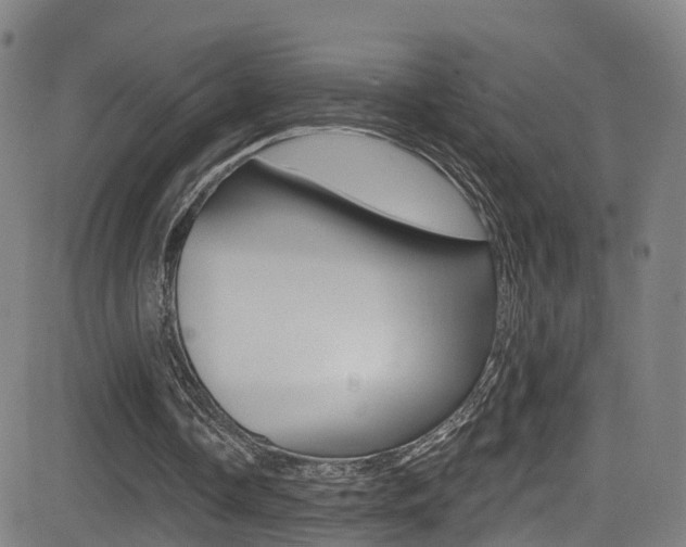 X0000081300338200701110939