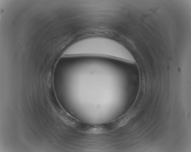 X0000081300364200701110940