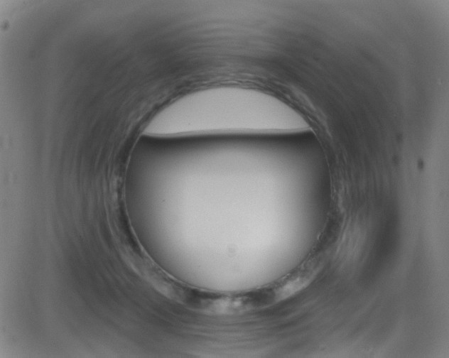X0000081300366200701110940