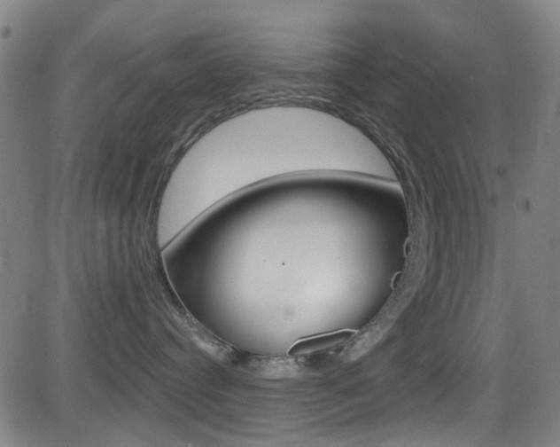 X0000081300384200701110940