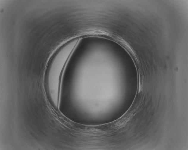 X0000081300387200701110939