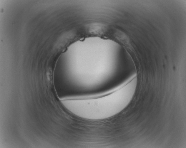 X0000081300424200701110939