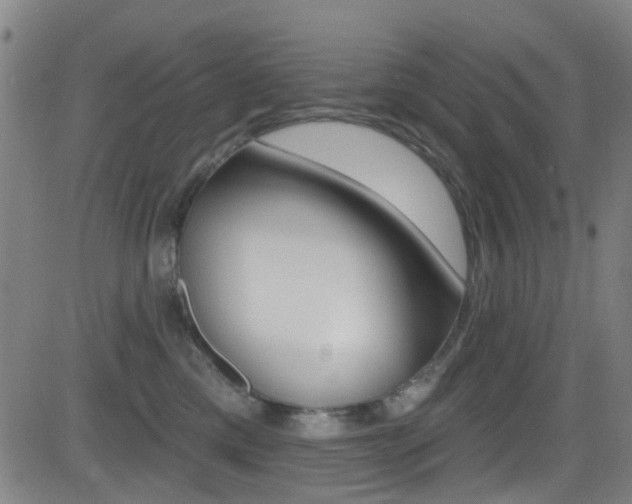X0000081300425200701110939