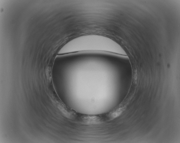 X0000081300428200701110939