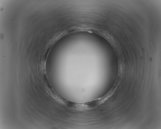 X0000081300429200701110939