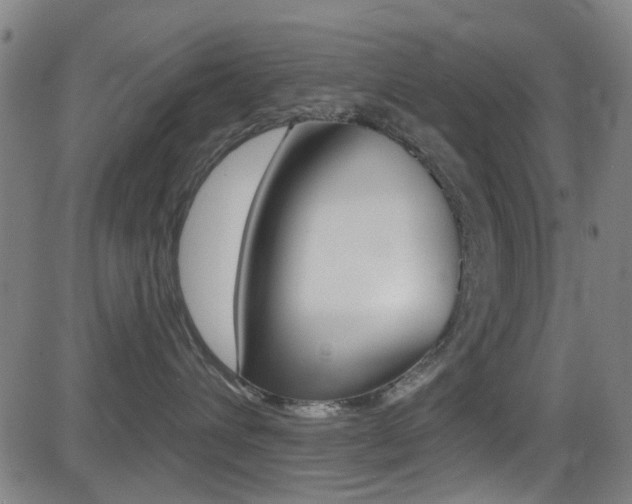 X0000081300432200701110938