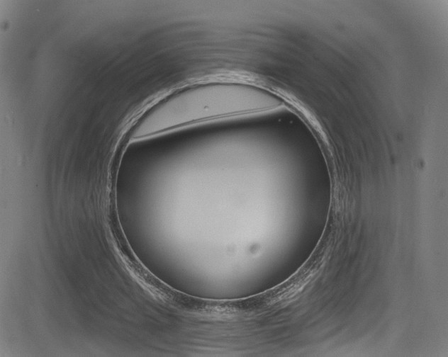 X0000081300437200701110938