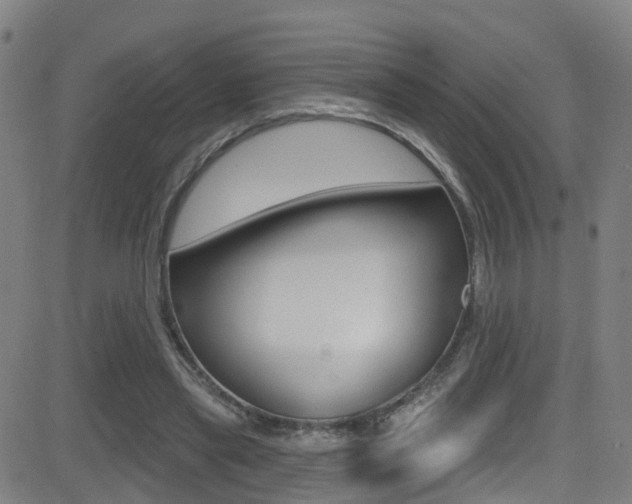 X0000081300445200701110938