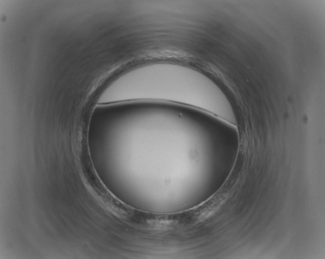 X0000081300448200701110938