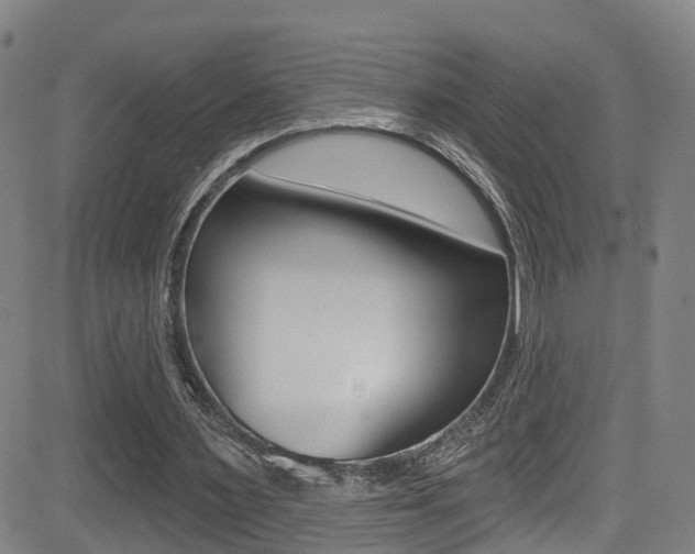 X0000081300483200701110938