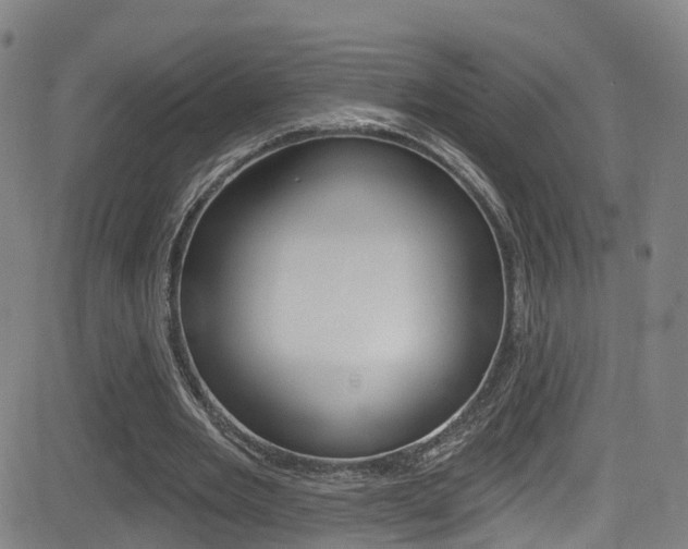 X0000081300485200701110938