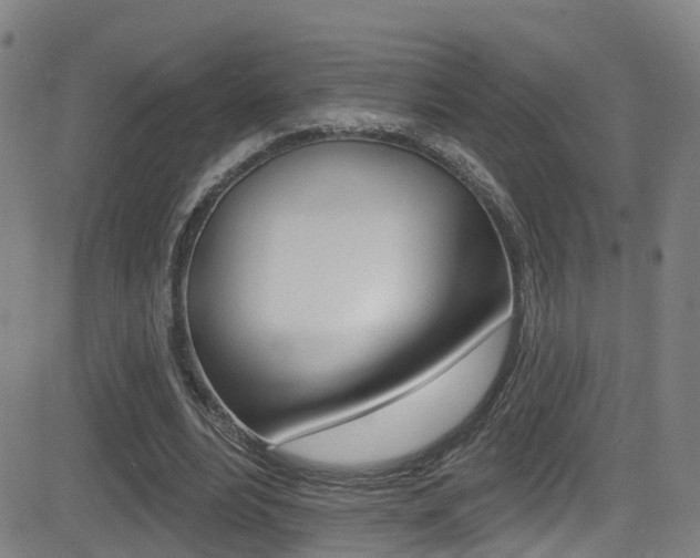 X0000081300488200701110938