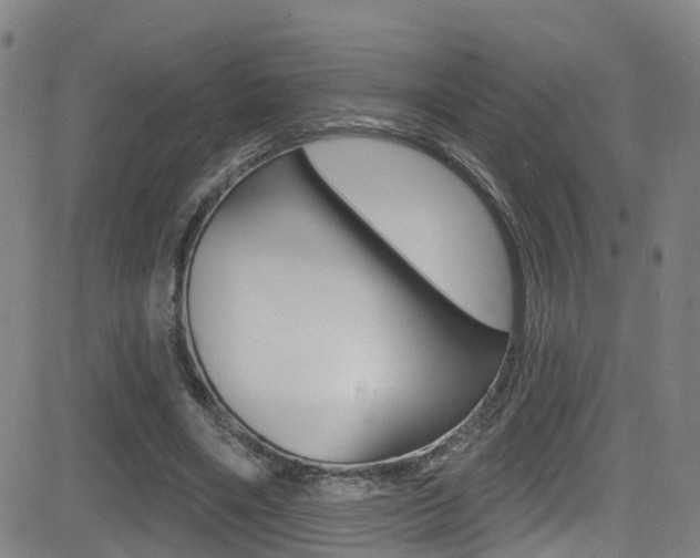 X0000081300490200701110938