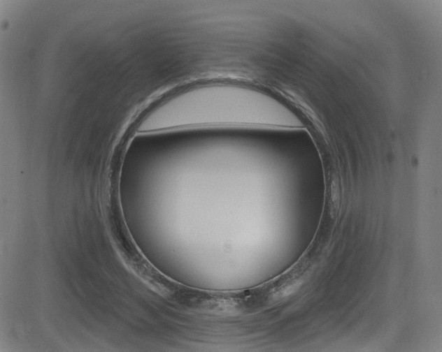 X0000081300492200701110937