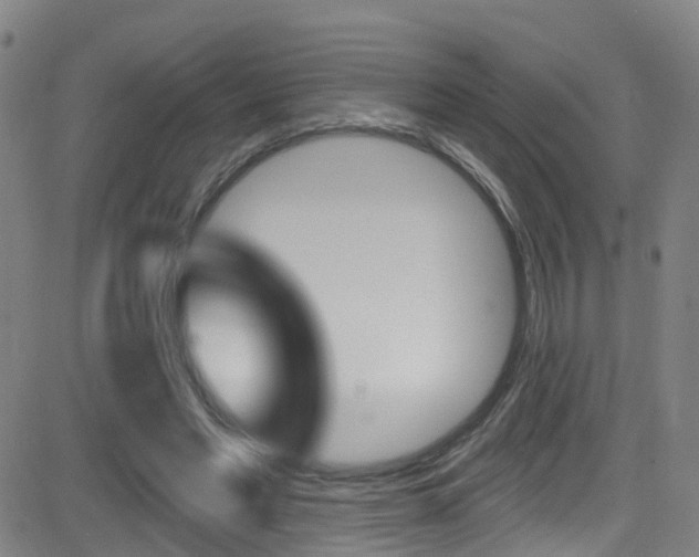 X0000081300493200701110937