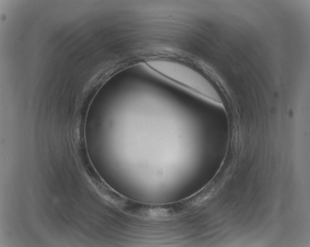 X0000081300501200701110937