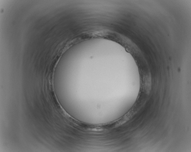 X0000081300506200701110937