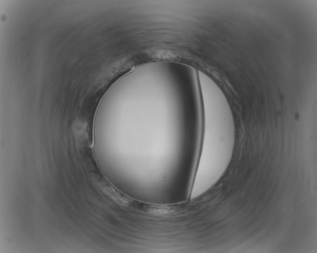 X0000081300521200701110937