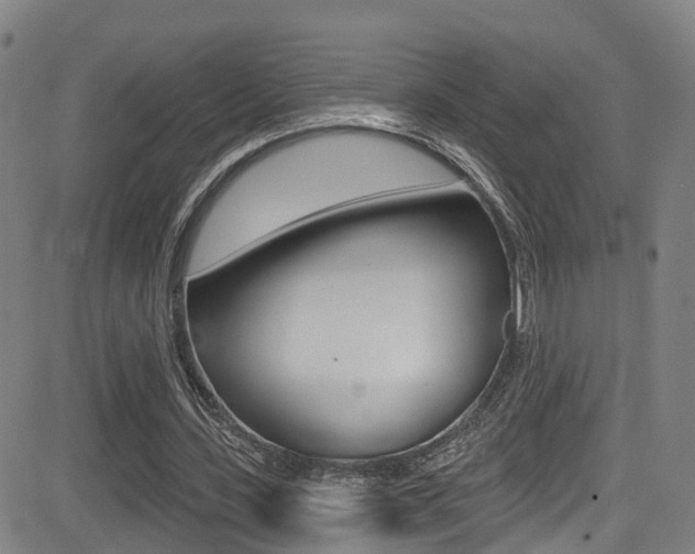 X0000081300531200701110936
