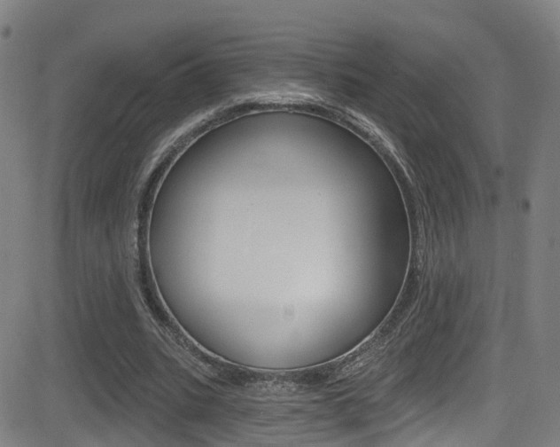 X0000081300535200701110936