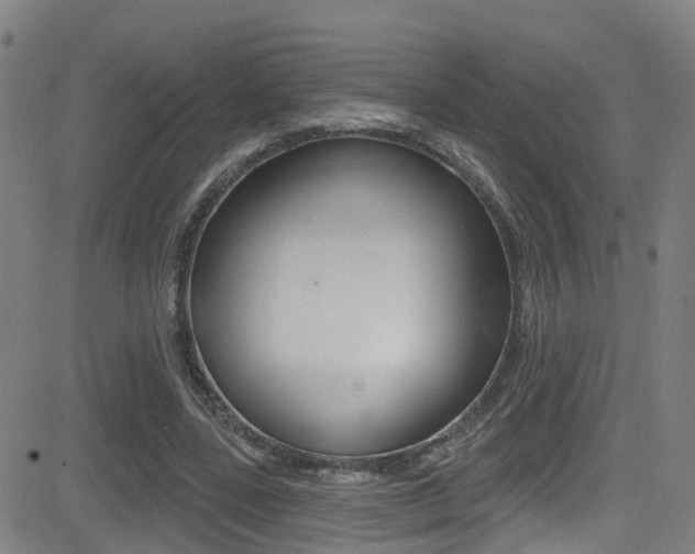 X0000081300539200701110936