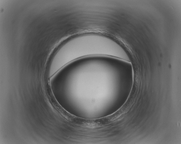 X0000081300540200701110936