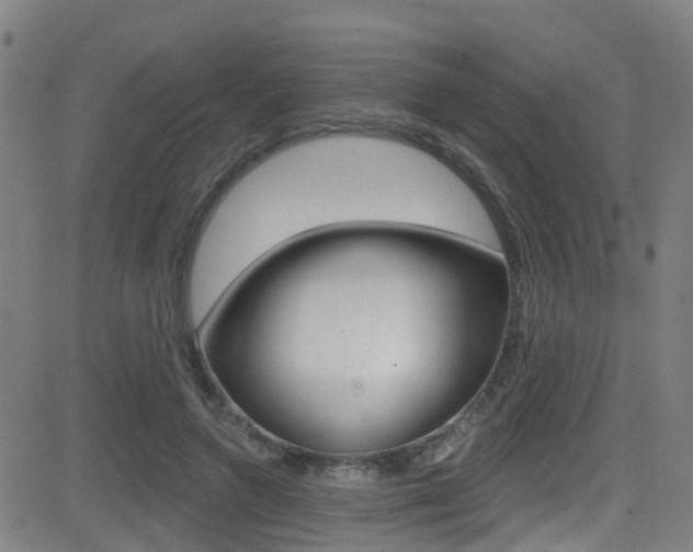 X0000081300546200701110936