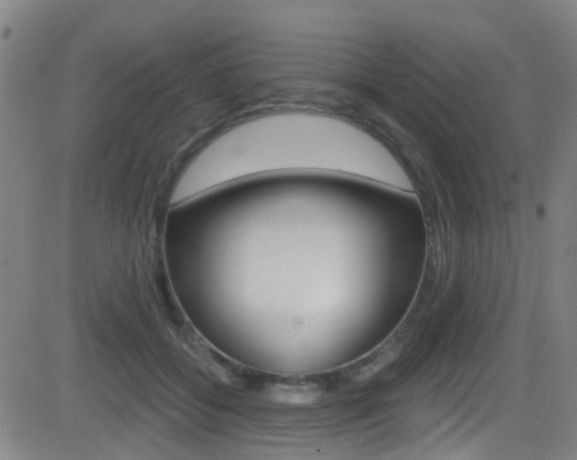 X0000081300556200701110937