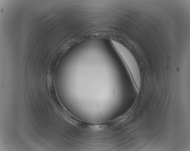 X0000081300558200701110937