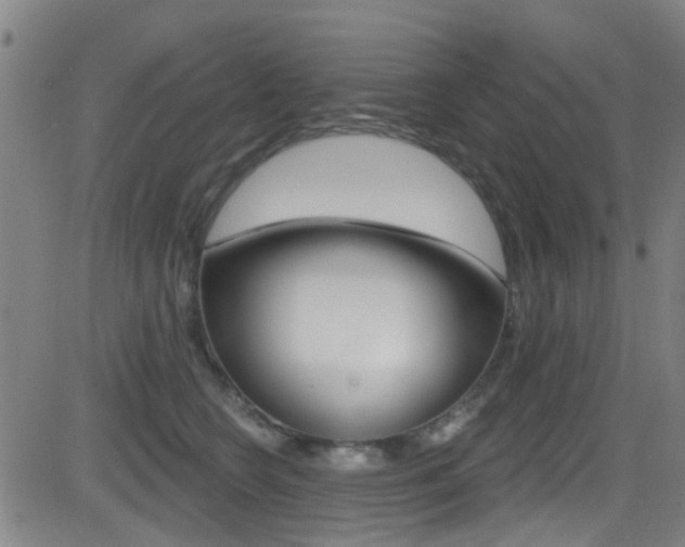 X0000081300566200701110937