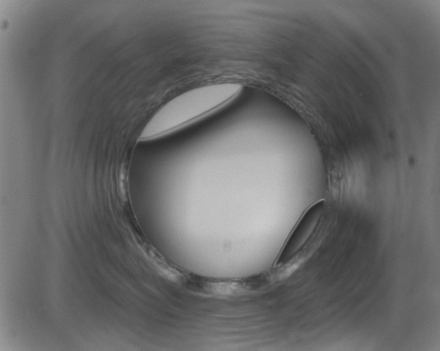 X0000081300575200701110937