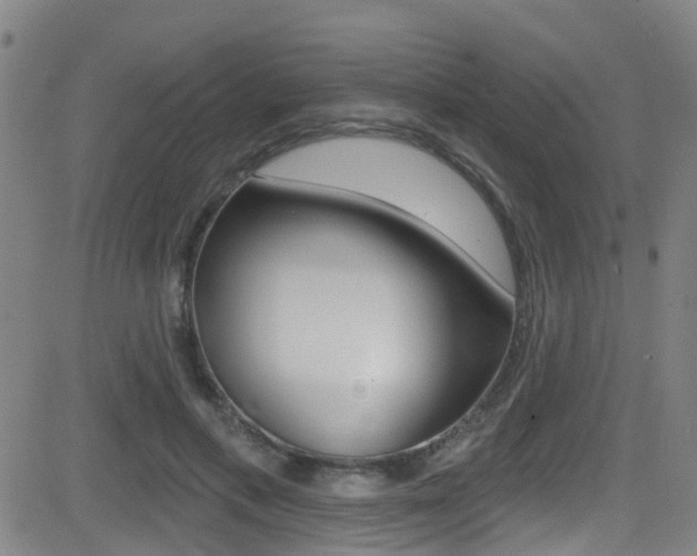 X0000081300597200701110936