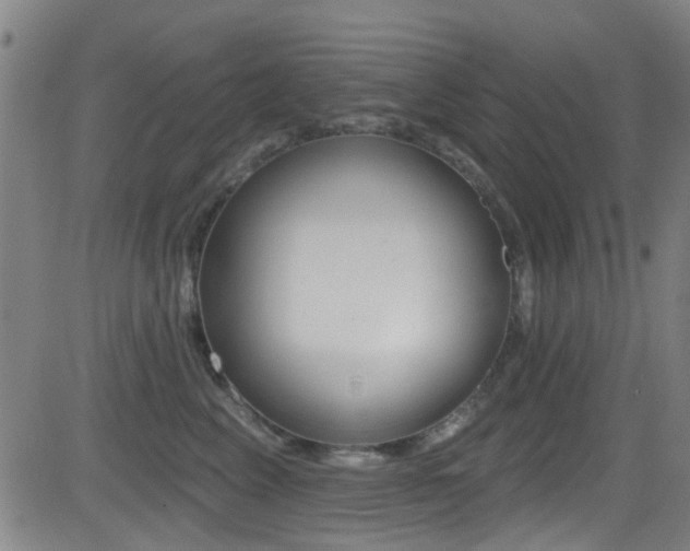 X0000081300617200701110935