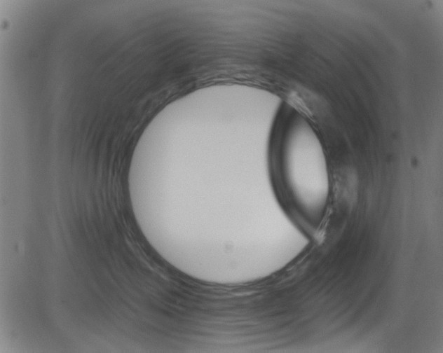 X0000081300623200701110935