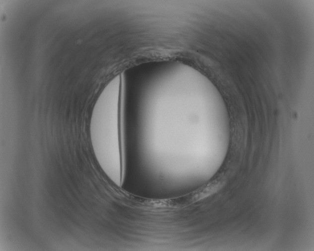 X0000081300624200701110935