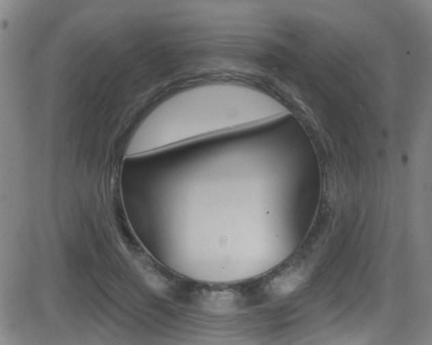 X0000081300645200701110935