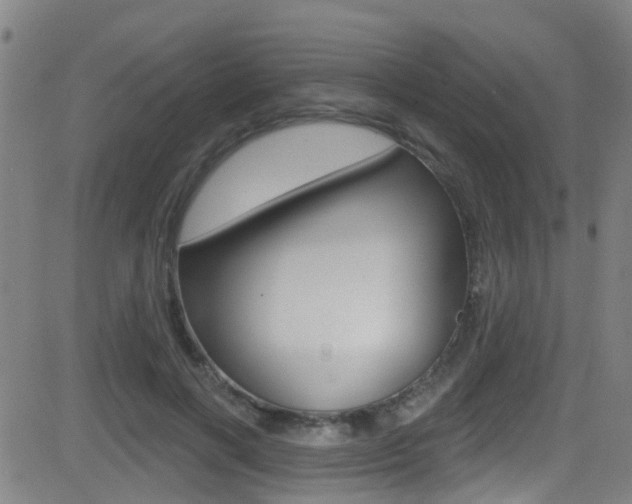 X0000081300646200701110935