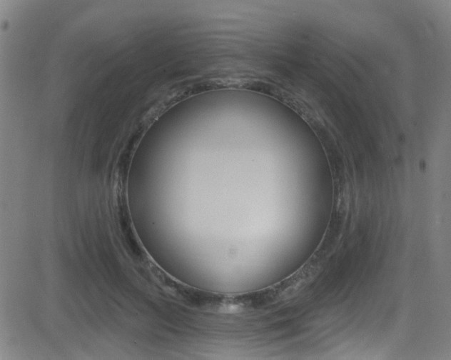 X0000081300647200701110935