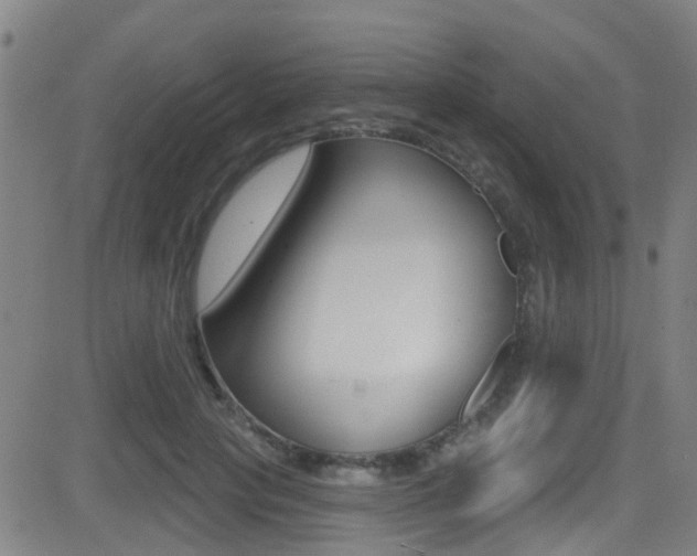 X0000081300649200701110935