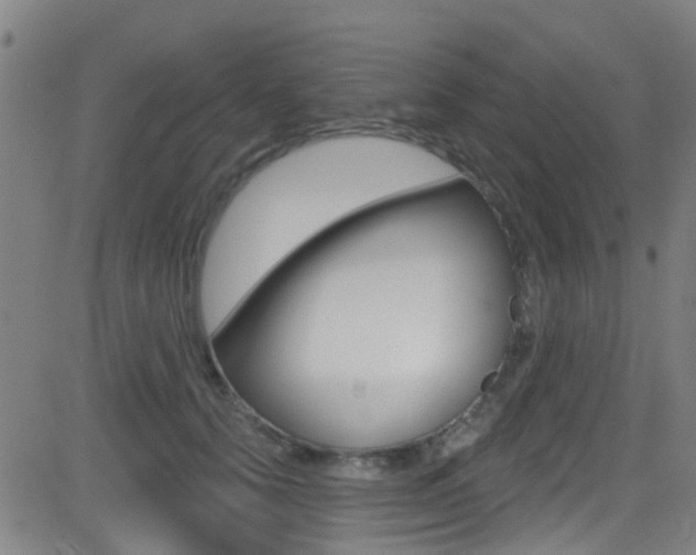 X0000081300656200701110935