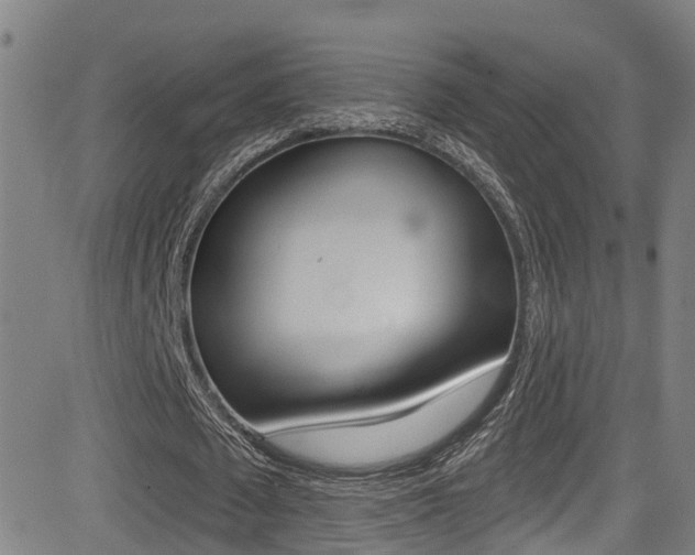 X0000081300673200701110935