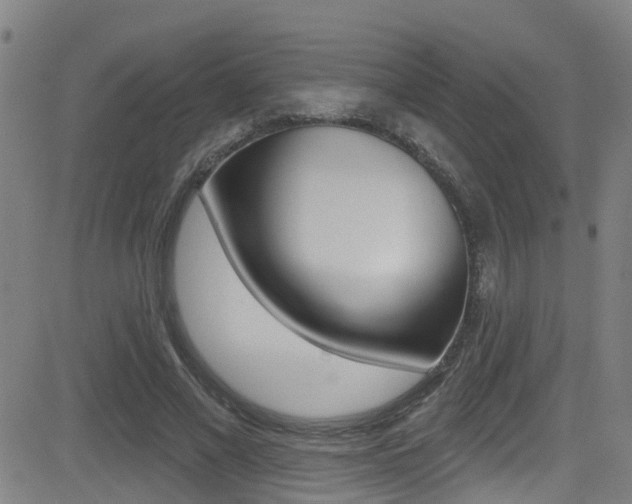 X0000081300685200701110934