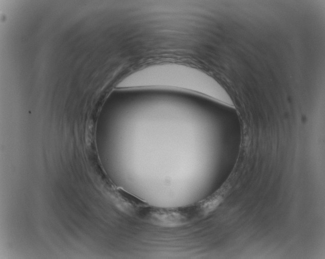 X0000081300712200701110934